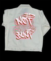 Image 2 of NOT SAINT