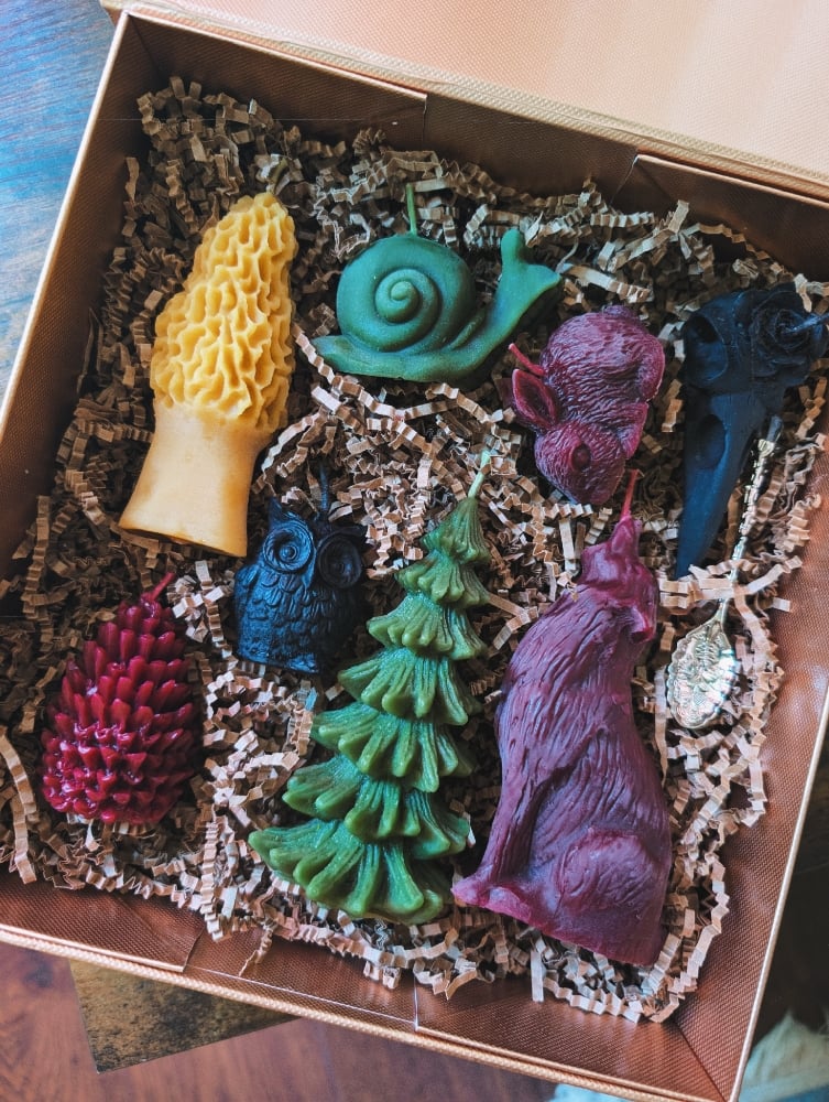 Image of Friends of the Forest Box Set