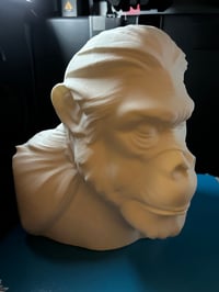Image 2 of paint your own gorilla bust