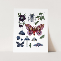 Image 8 of Sagittarius Nature Chart PRINT