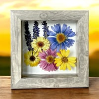 Image 1 of Veronica, Aster, Maximillian Sunflower And Calendulas In 6" X 6" Shadow Box (Item# 202217S)