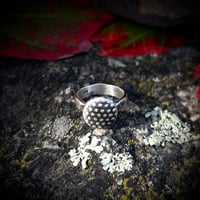 Image 1 of Seed Pod Ring- Size 6.5