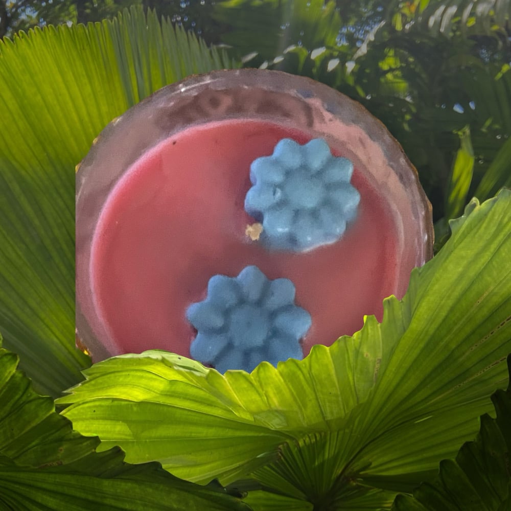 Image of Citrus Craze medium soy wax candle