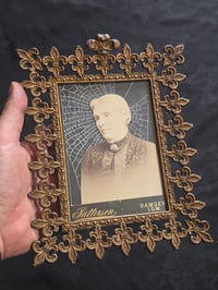 Image 1 of Statement Victorian photocard With Preserved Web in antique frame