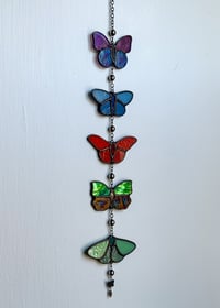 Image 3 of Butterfly Swarm 