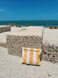Image 3 of Bikini Bag