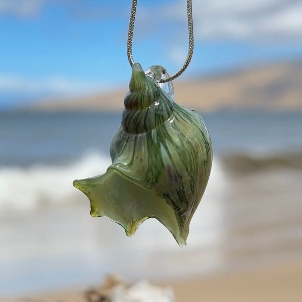 Image of Green and White coral Bulb Shell