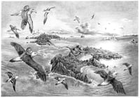 Image 1 of Giraffe Island (original artwork)