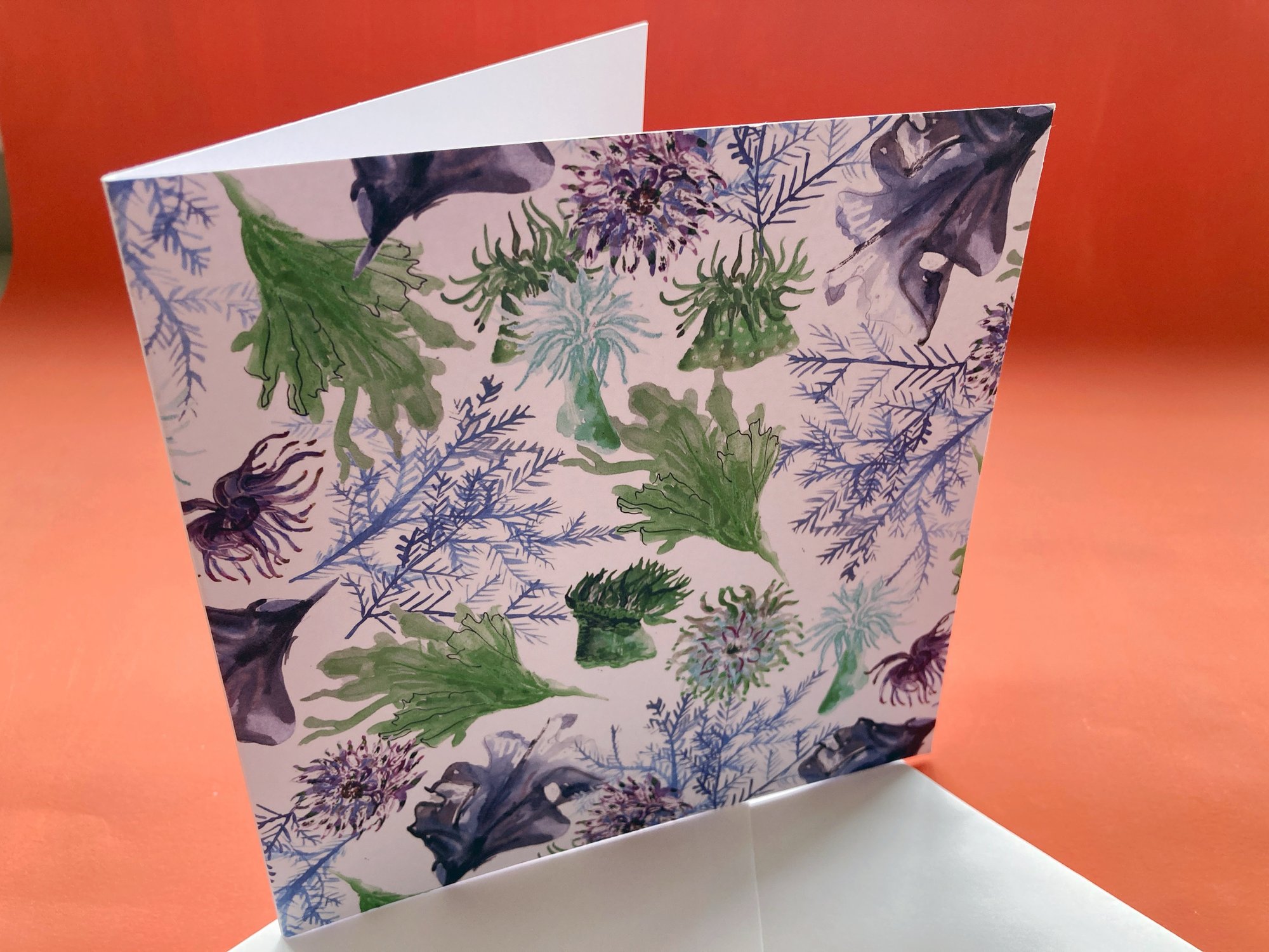 Anemone Blossoms | Greeting Card Anemone Blossoms | Greeting Card