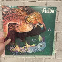 Fields – Fields - UK FIRST PRESSING PROG LP