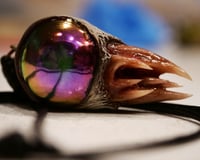 Image 8 of Chroma Fang Relic Pendant - 2" Handmade Color-Shift OOAK