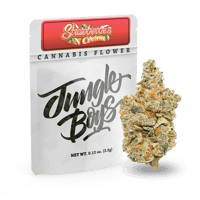 Image 3 of Jungle Boys 