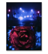 Image 4 of PICK ROSES AT NIGHT III