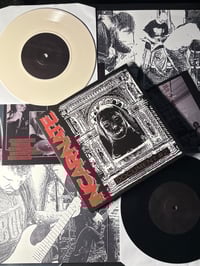 Image 1 of INCARNATE - DOCUMENT #2 - 7" EP (MORE ADDED)