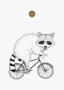 Image of Raccoon On A Bike
