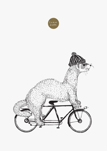 Image of Ferret On A Bike