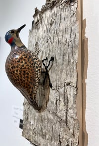 Image 1 of Flicker - Elizabeth Paxson 