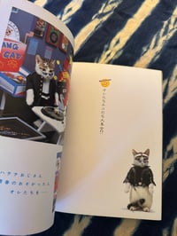 Image 7 of Namennayo Cats, Satoru Tsuda, 1981