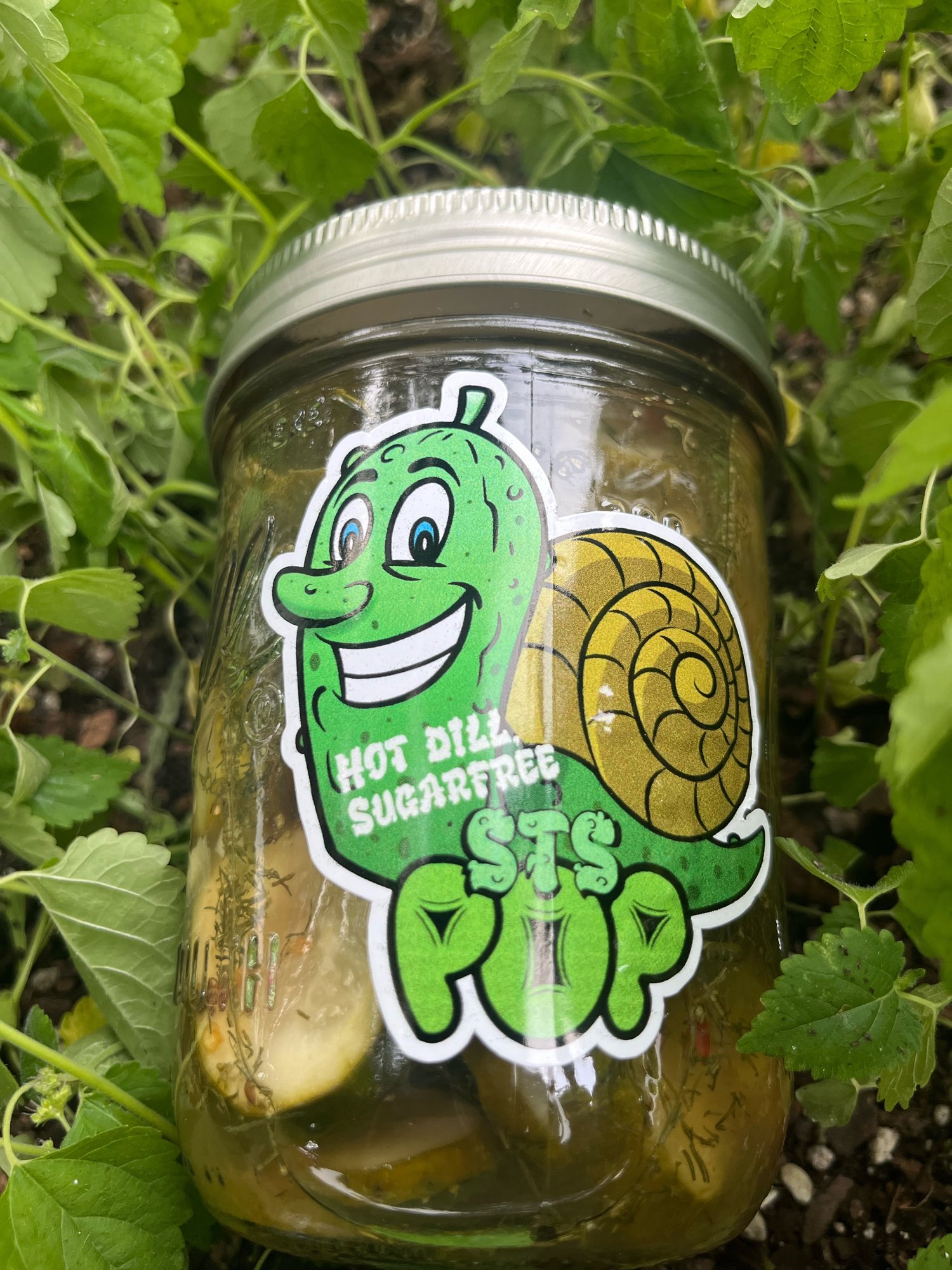 Image of POP PICKLES SUGARFREE DILL W HEAT