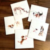 Canine Encounters - Set of 5 Luxury Greetings Cards