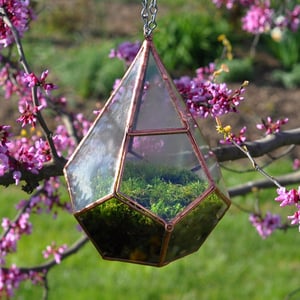 Image of Teardrop Terrarium Kit, medium hinged