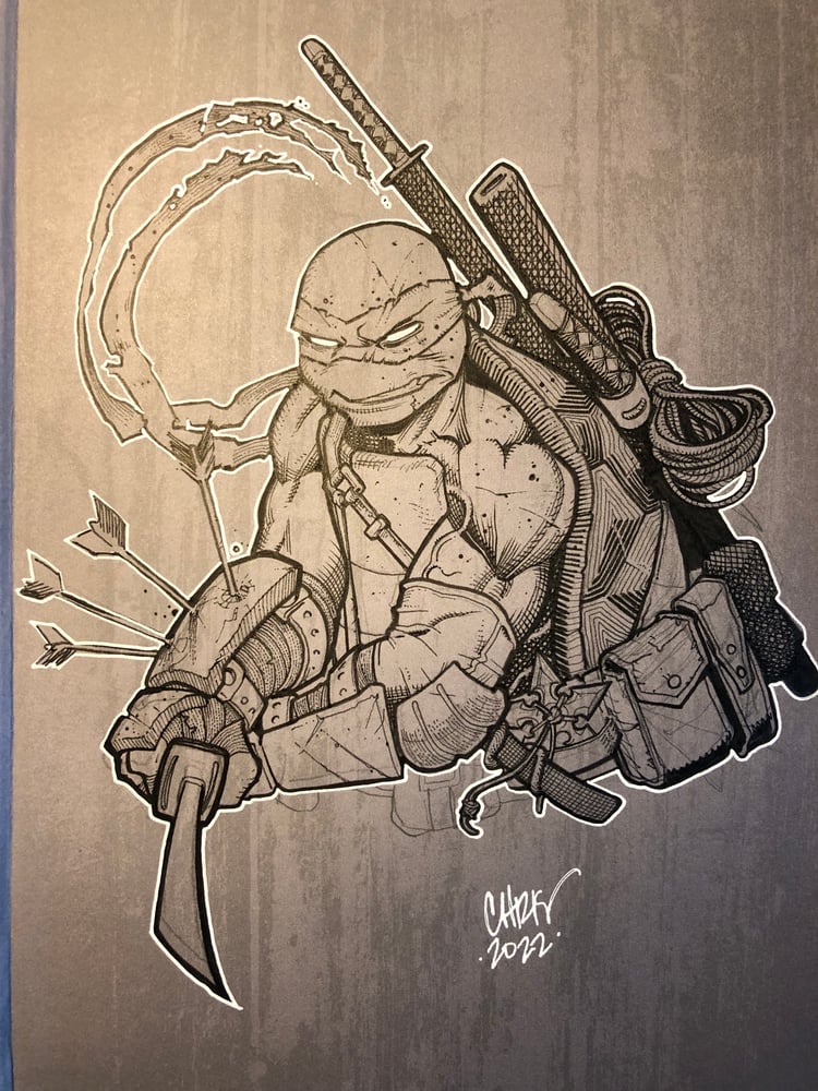Image of TMNT IDW Collection Vol 10