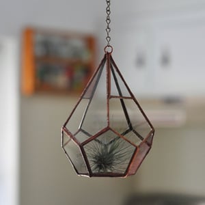 Image of Teardrop Terrarium Kit, small