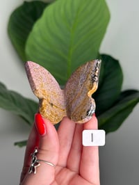 Image 9 of CHOOSE YOUR OWN UNICORN JASPER BUTTERFLIES