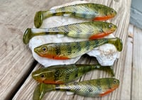 Image 2 of 5" G5 Hand Poured Swimbaits - "TREX PERCH"