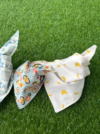 Image 5 of Bandanas