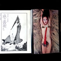 Image 5 of Le Sang et la Rose #3