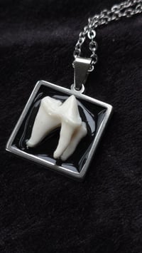 Image 5 of Fox tooth square necklace