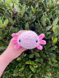 Image 1 of sitting axolotl plushie