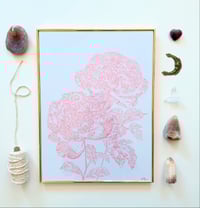 Image 1 of illustration Pivoines 🌟