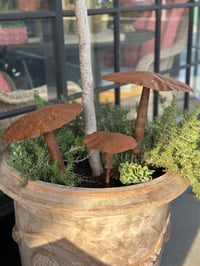 Image 1 of Large Mushroom Stakes Set of 3