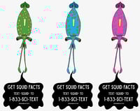 Image 2 of Juvenile glass squid sticker 