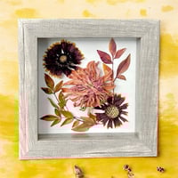 Image 5 of Zinnia, Indian Blanket And Obsession Nandina Wildflower Art In 6" X 6" Shadow Box (Item# 202203S)