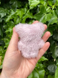 Image 2 of Pip the Mini Fluffy Pig