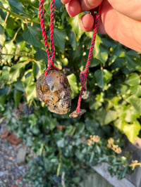 Image 1 of Large Amber skull