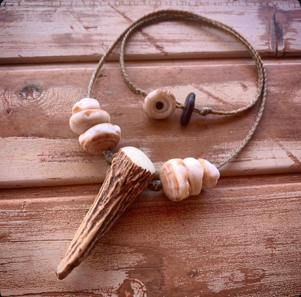 Image of Axis deer antler spike shed necklace with tiger puka shells and a sliding seaglass clasp