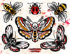 Moths and bugs