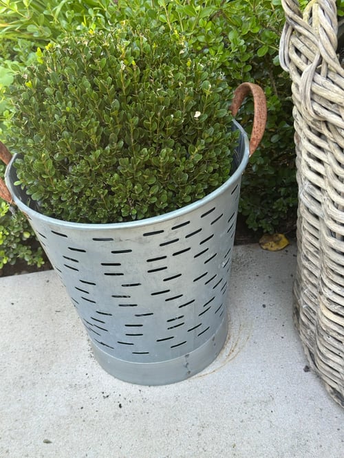 Image of Vintage Turkish Olive Bucket 