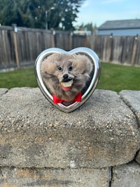 My Mink Pumps For You