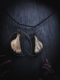 Image 2 of scapula hoops