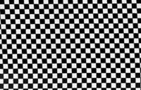 Checker Board - black and white