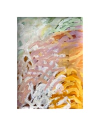 Image 1 of sunset casts a web