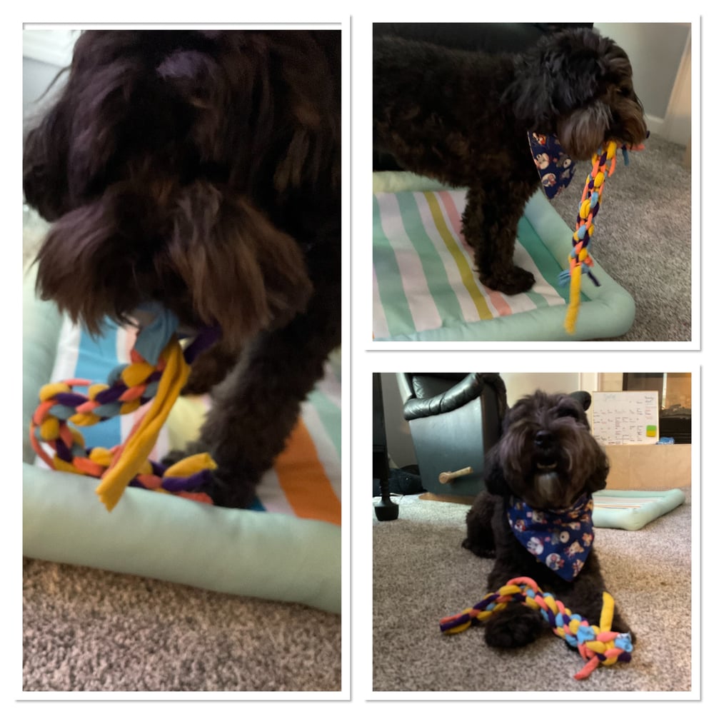 Image of Joy’s Toys Upcycled Dog Toys (colors may vary)