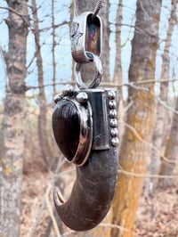 Image 2 of Large bear claw with Sheen Obsidian 