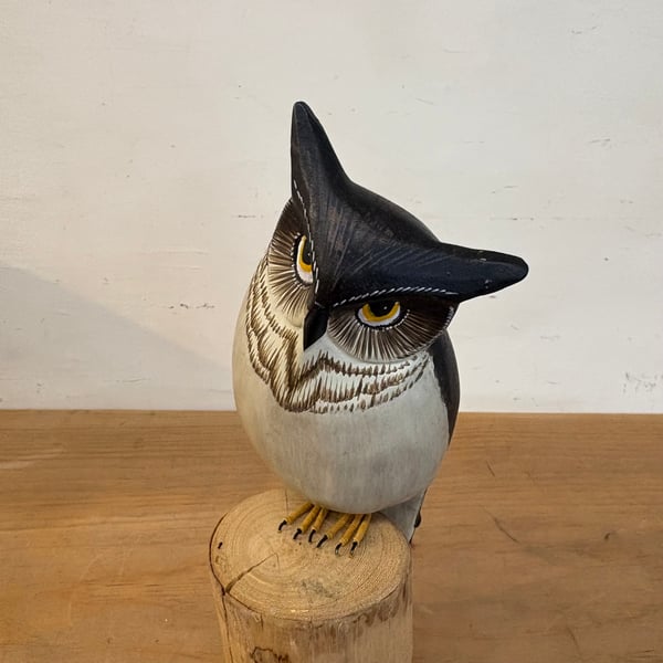 Image of Little horned owl