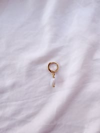 Image 2 of Créole Energie L’ADMIRATION